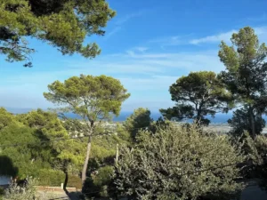 6311a2b7 Clonik Location Ferienhaus