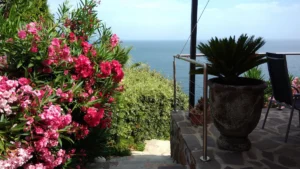 70ac3248 Clonik Location Ferienhaus